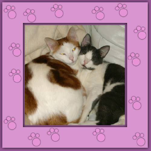 Bonny & Felix
