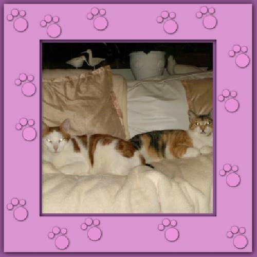 Bonny & Felix