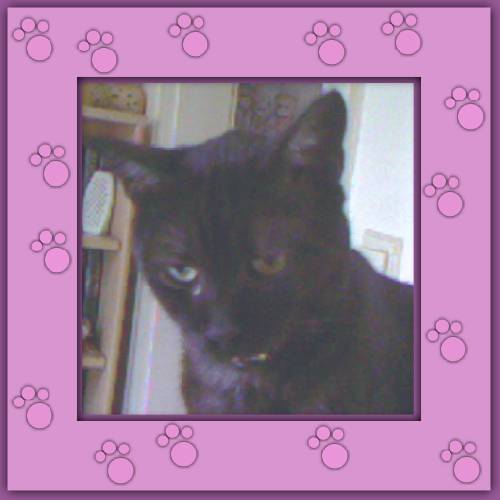 Chico