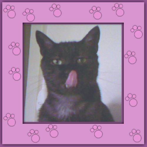 Chico