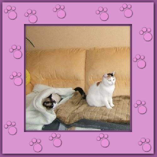 Chico & Bonito