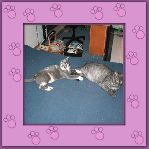 Cleo & Gordi