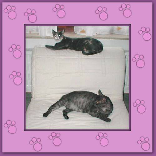 Cleo & Gordi