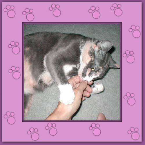 Cleo & Gordi