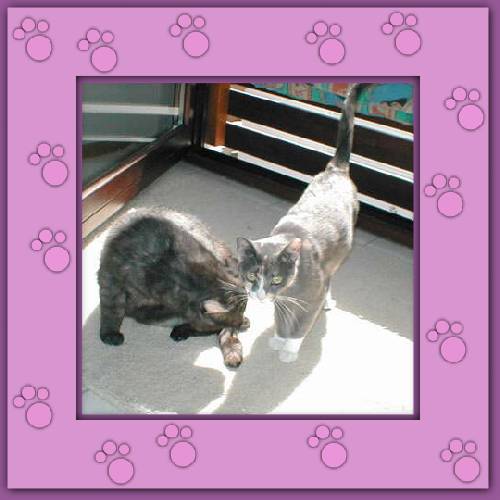 Cleo & Gordi