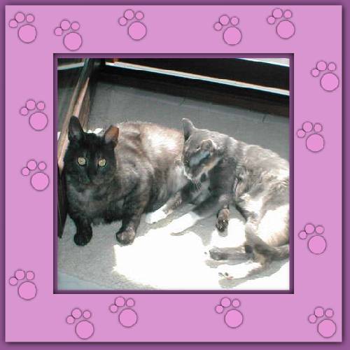 Cleo & Gordi