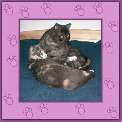 Cleo & Gordi