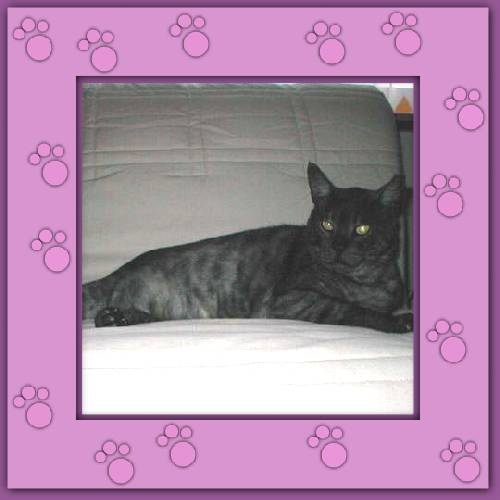 Cleo & Gordi