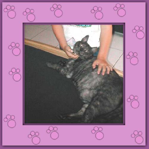 Cleo & Gordi