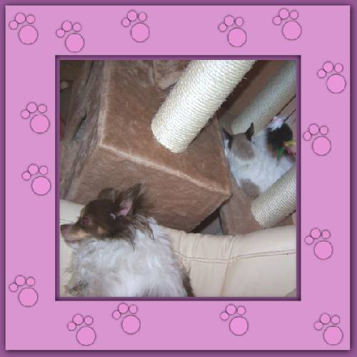 Davina & Elay