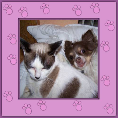 Davina & Elay