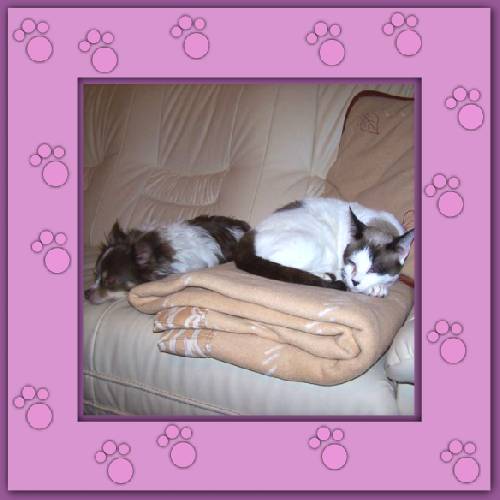 Davina & Elay