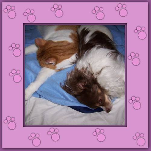 Davina & Elay