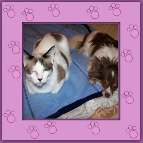 Davina & Elay