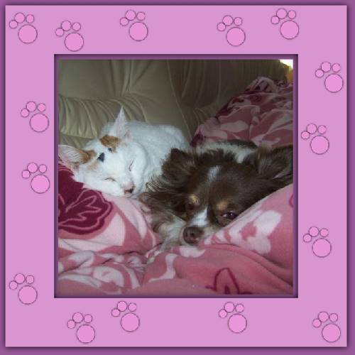 Lisa & Elay