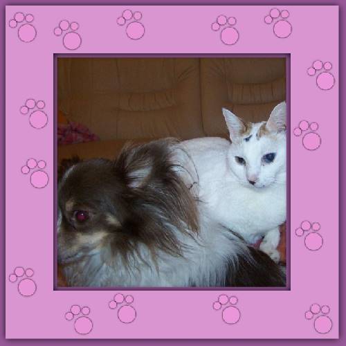 Lisa & Elay