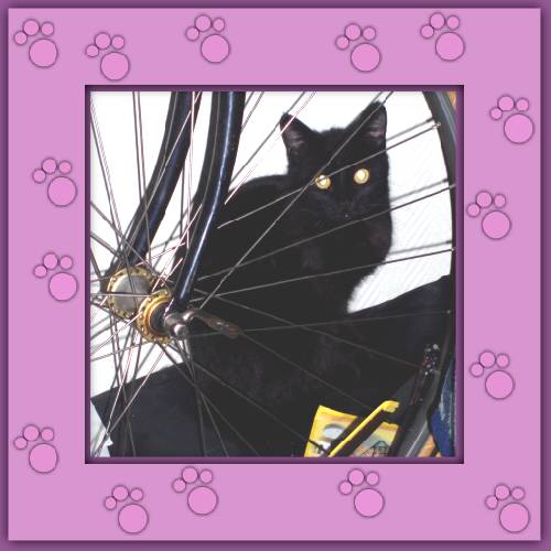 Ares