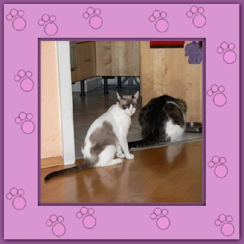 Elisa & Benji