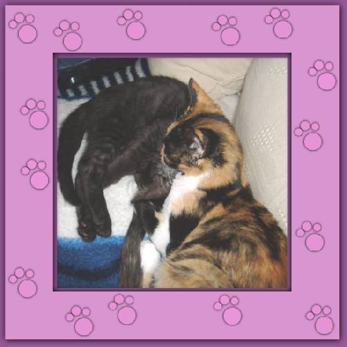 Sternchen & Max