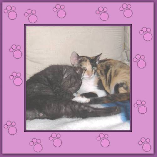 Sternchen & Max