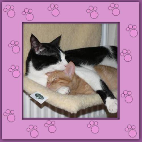Ferdinand & Sammy