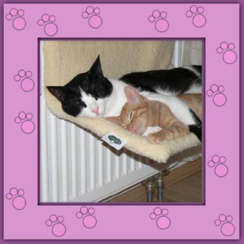 Ferdinand & Sammy