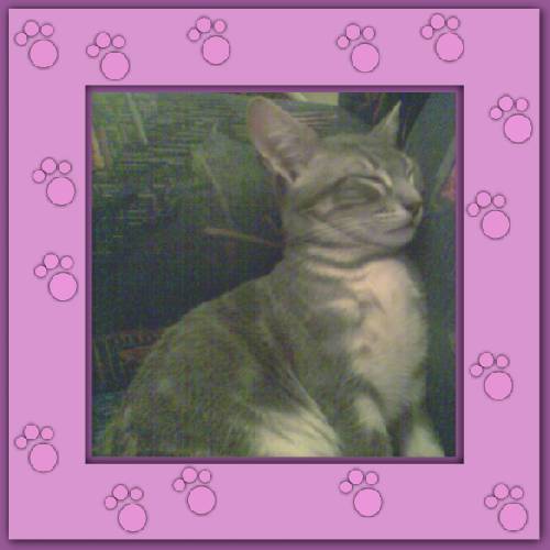 Filou