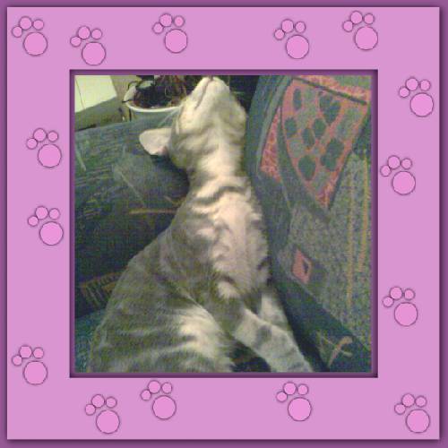 Filou