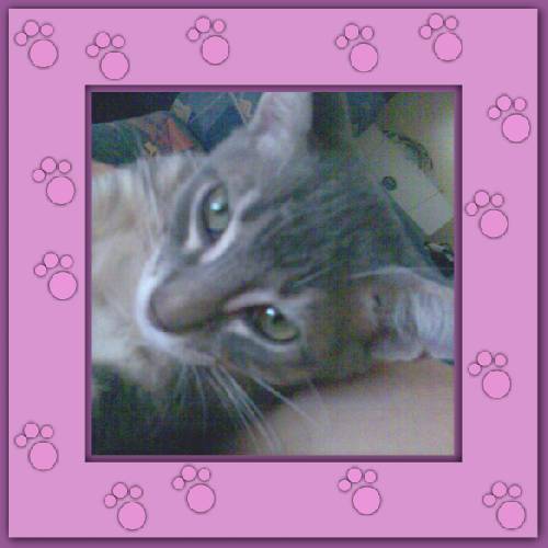 Filou