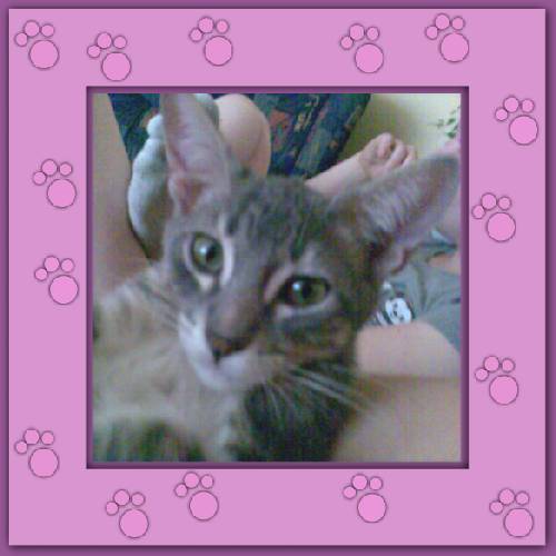 Filou