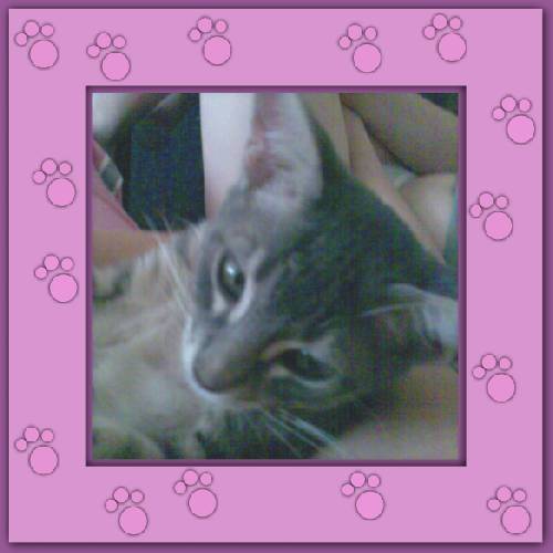 Filou