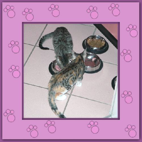 Finchen & Phoebe