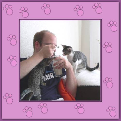 Filou