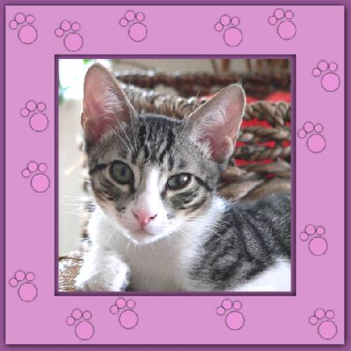 Filou
