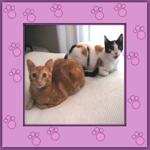 Frieda & Maja