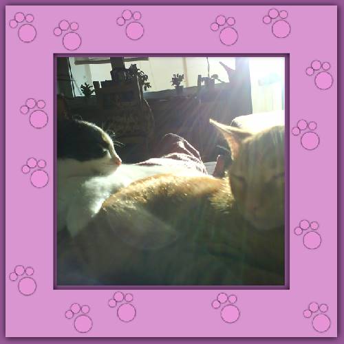 Maja & Frieda