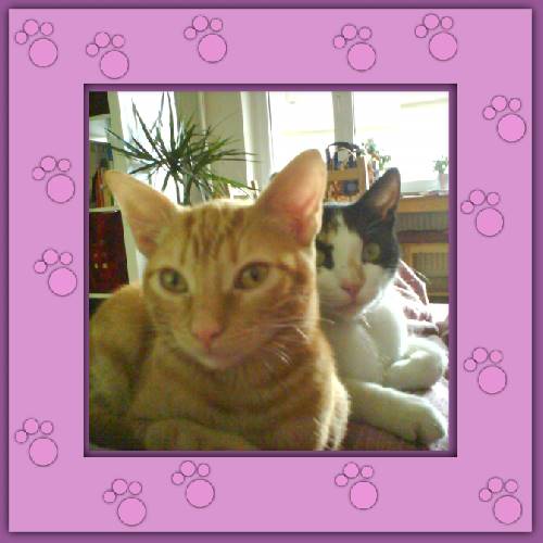 Frieda & Maja