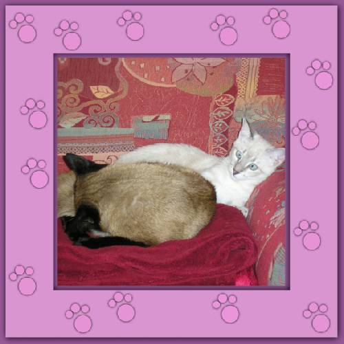 Henry & Shana