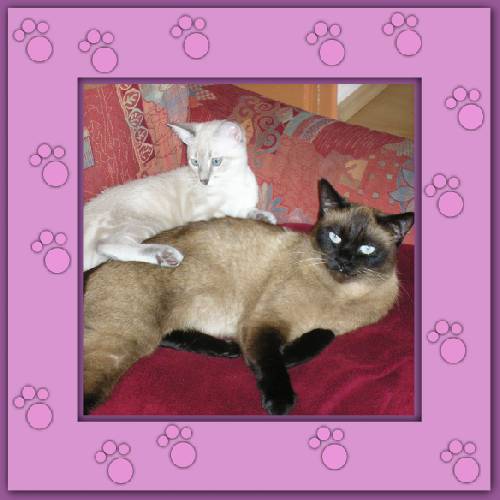 Henry & Shana
