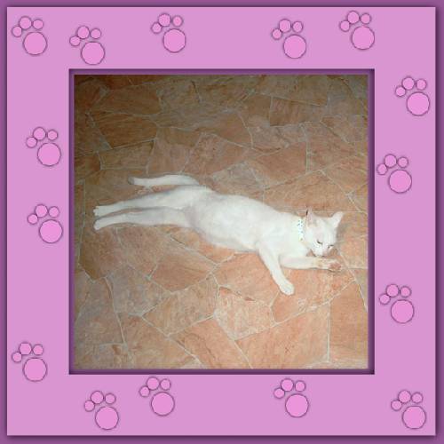 Ines