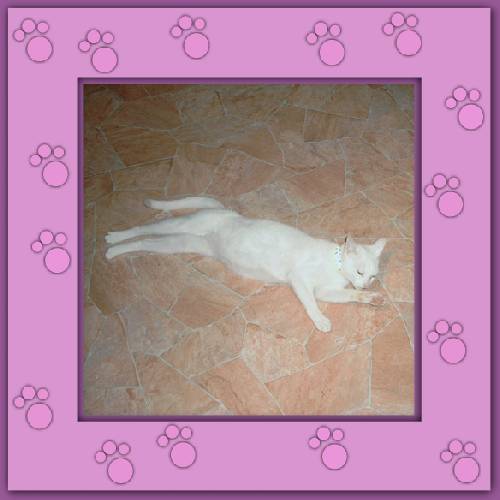 Ines