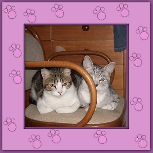 Mucki & Söckchen
