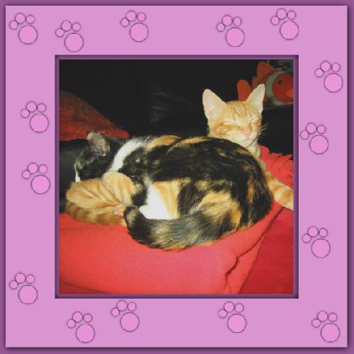 Kiara & Lluvia