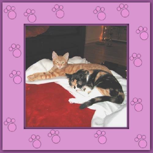 Kiara & Lluvia