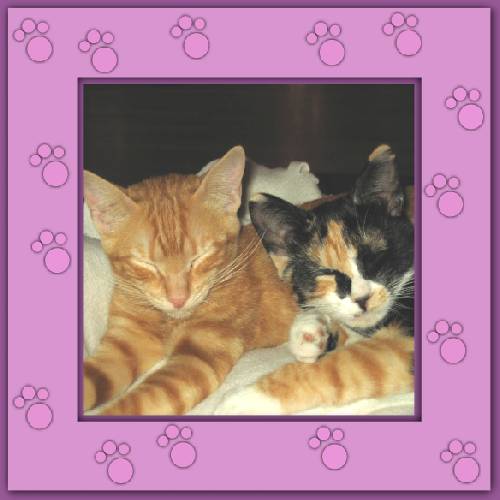 Kiara & Lluvia