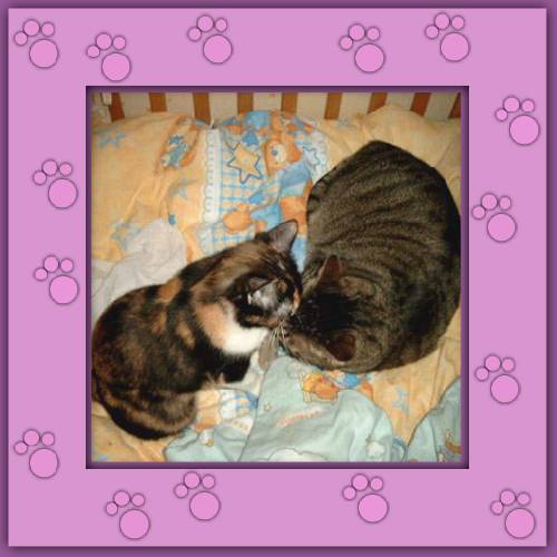 Lady Nela & BamBam