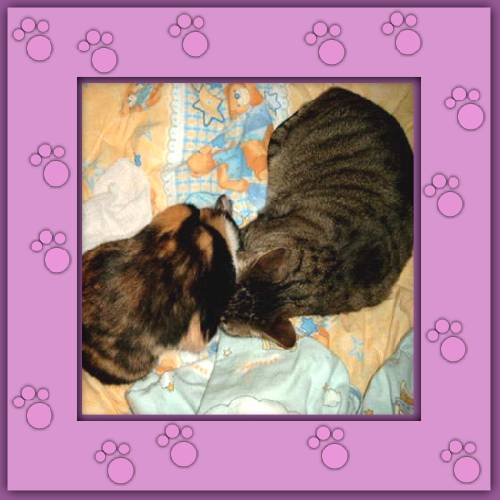 Lady Nela & BamBam