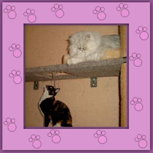 Lady Nela & Buffy