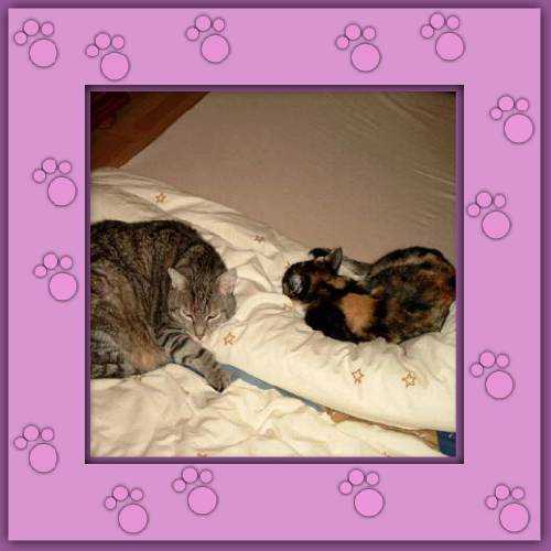 Lady Nela & Nemo