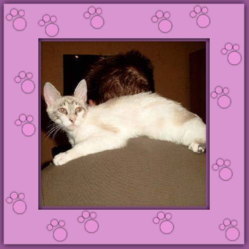 Lilly